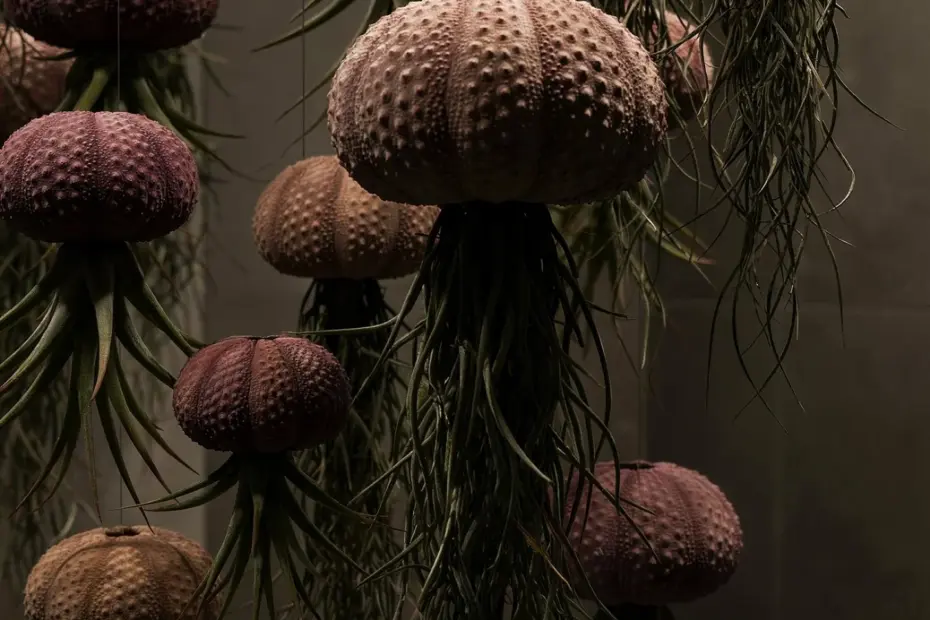 Hanging Air Plant Jellyfish Decor | Small Bathroom Decor Ideas | Sea Urchin Accents