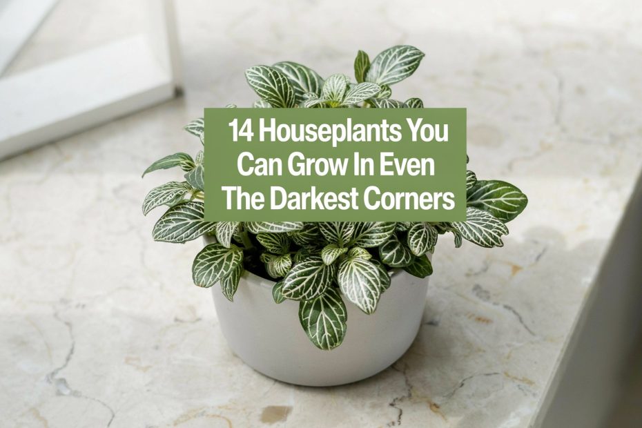 Low Light Bathroom Plants | 14 hardy houseplants for humid, dim spaces | small bathroom decor ideas