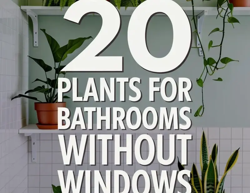 20 Plants for Bathrooms Without Windows - My Dark Bathroom Makeover with Low-Light Plants